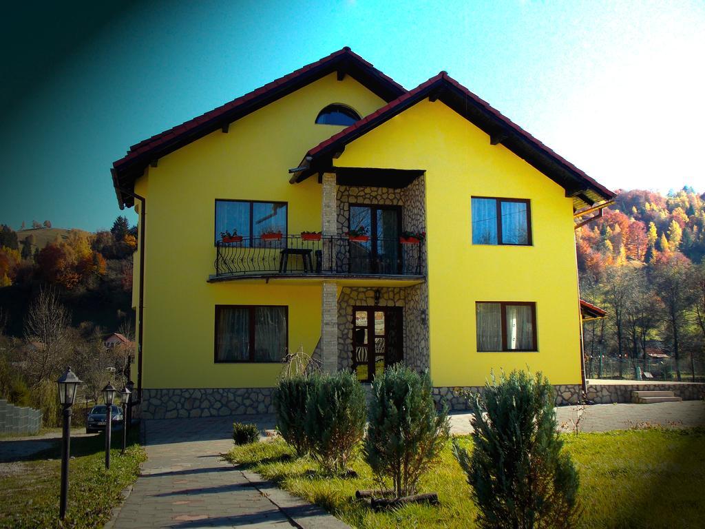 Casa Olteanu Pension Moieciu de Jos Exterior foto